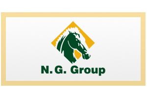 Ng-Group-of-Companies